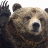 Griz_