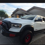 TXrebel2019