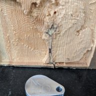 NO ECO DELETE