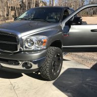 Beaver3475