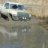 meanwhitemopar