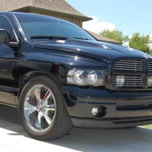 dani's truck