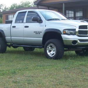 THE HEAVY HEMI (BEAR)
