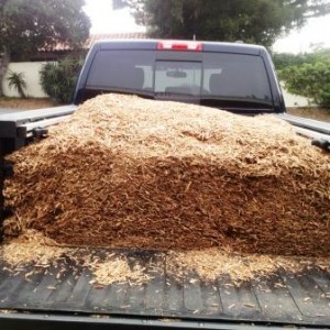 Putting the Beast to Work!
