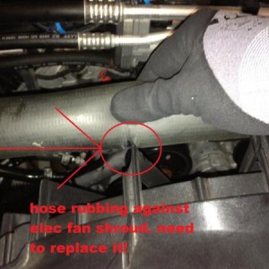 hose