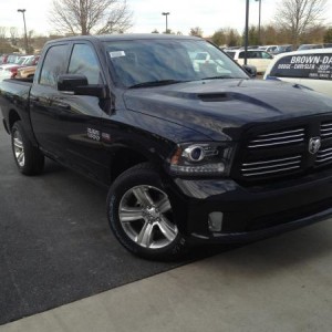 2013 sport