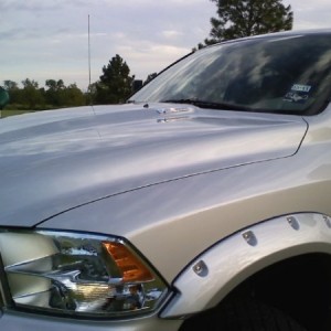 My Silver Ram