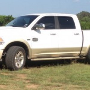 Longhorn