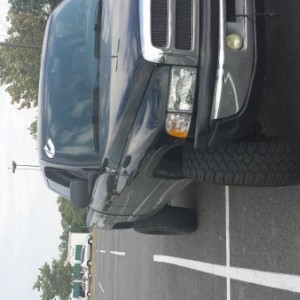 The Beast