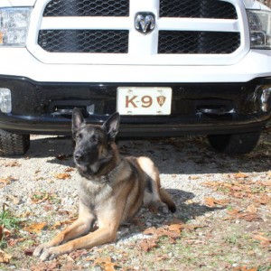 2014 K9 Ram