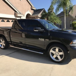 2017 Sport