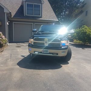 The Black Beast