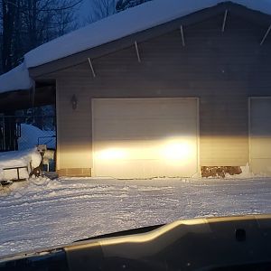 Headlights