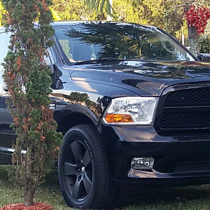 My Rig