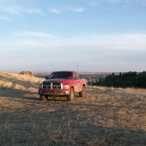 Backyard 008