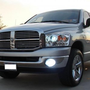 HID Projector Headlights & Foglights