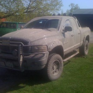 Fun in a friends field!