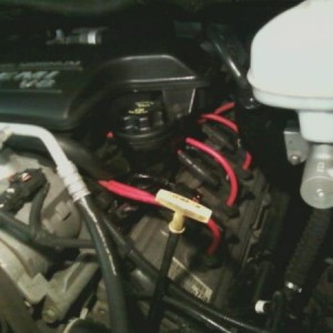 my msd wires