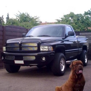 The Bordeaux Dog with my Ram