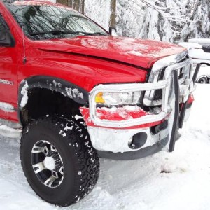 dont look that bad 10,387 bucks later get it should have hit the damm deer