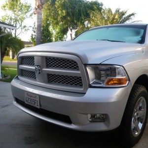 Painted Grille