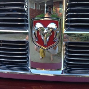 Painted emblem