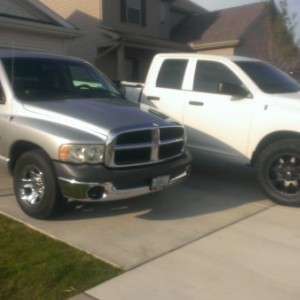 Rams