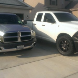 Rams