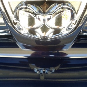 Grill/Bumper