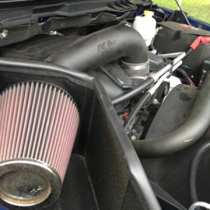 Too much pollen