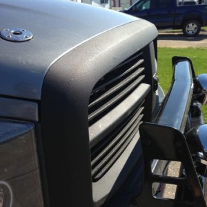 Bedlinered the grille