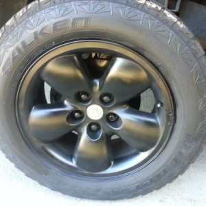 Painted rims