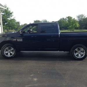 Just brought her home!