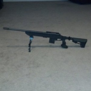 .308 I put together