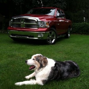 CC and truck