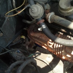 Passenger side engine. Rusted up headers, breather cap behind whatever that hose is in the way.
