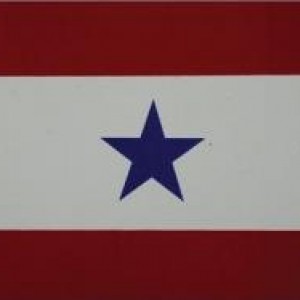 11676.jpg