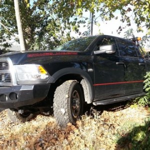 Backyard dirt piles