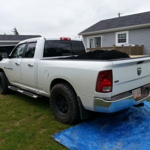 3rd Load of Bark Mulch