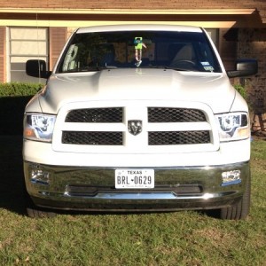 After a bath the next day. The halos are on here in this picture.