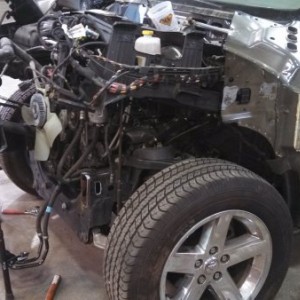 replacement of some left inner structure