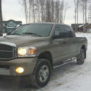 ram