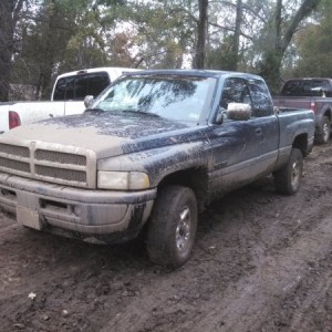 First "little" mud run at work