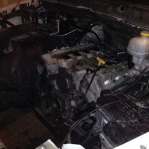 Almost ready to come out.