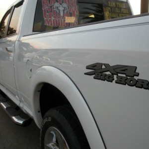 Custom made 4x4 BIG HORN decal