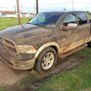 Dirty Ram Side View