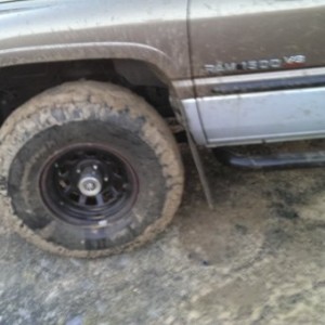 TORE THAT BEEZY UP