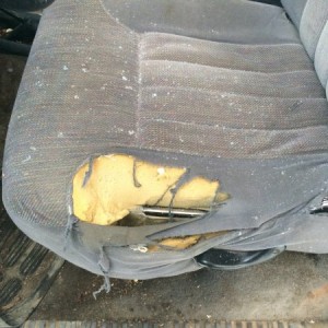Comfy seat