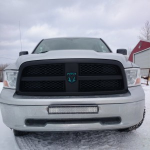 Plastidipped my grille