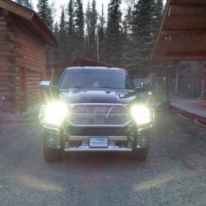 HID Brights